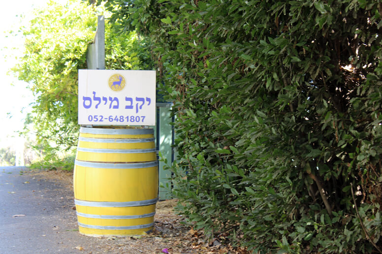 כרם בן זמרה - יקב מילס כרם בן זמרה - יקב מילס